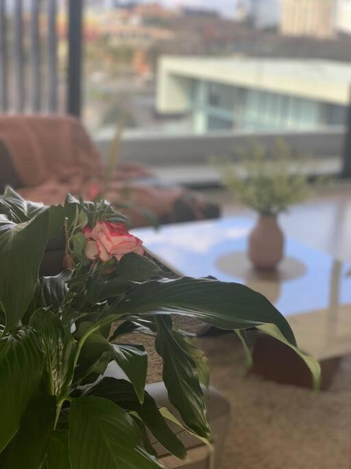 Carlton Stunning View Apartment 150M Away From University Of Melbourne Eksteriør bilde